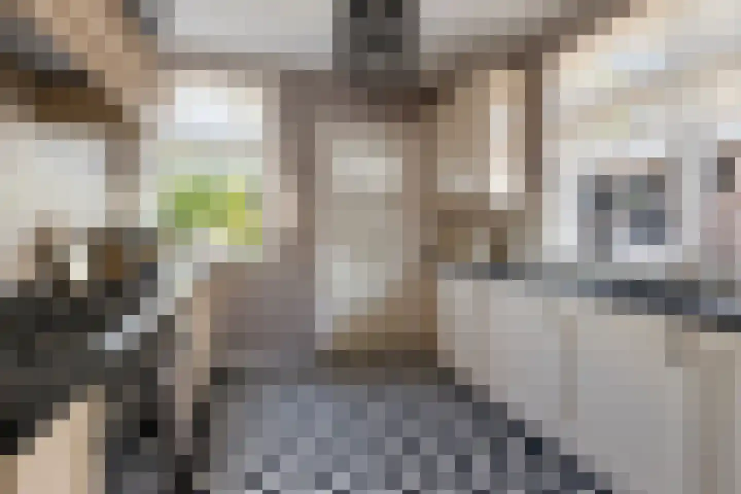 Kerkweg 147 Lekkerkerk thumbnail 18