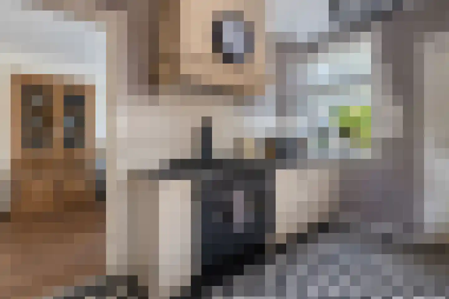 Kerkweg 147 Lekkerkerk thumbnail 20