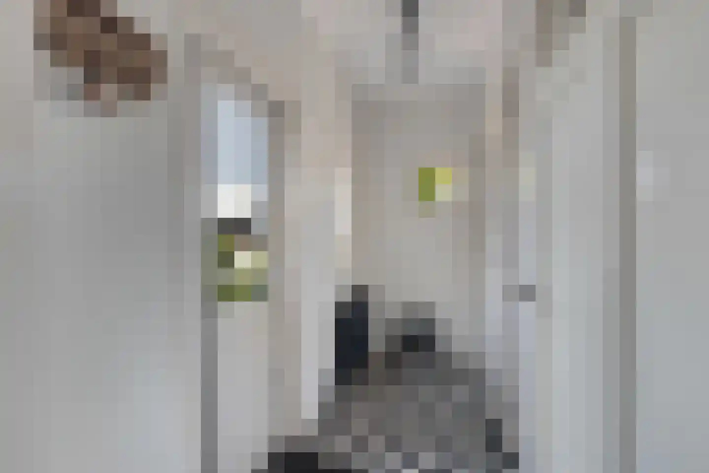 Kerkweg 147 Lekkerkerk thumbnail 22