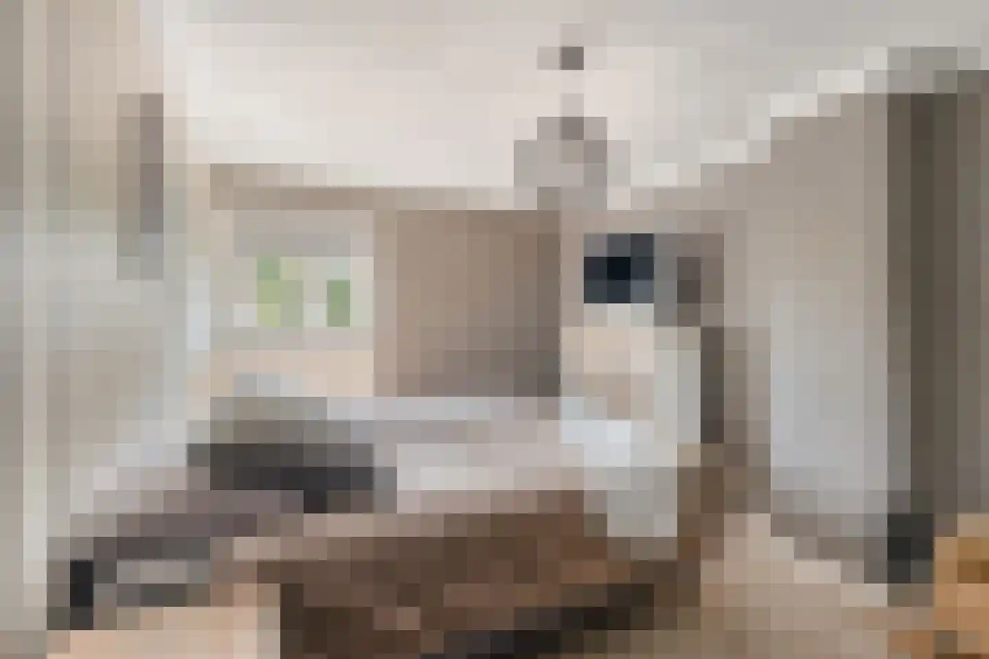Kerkweg 147 Lekkerkerk thumbnail 27