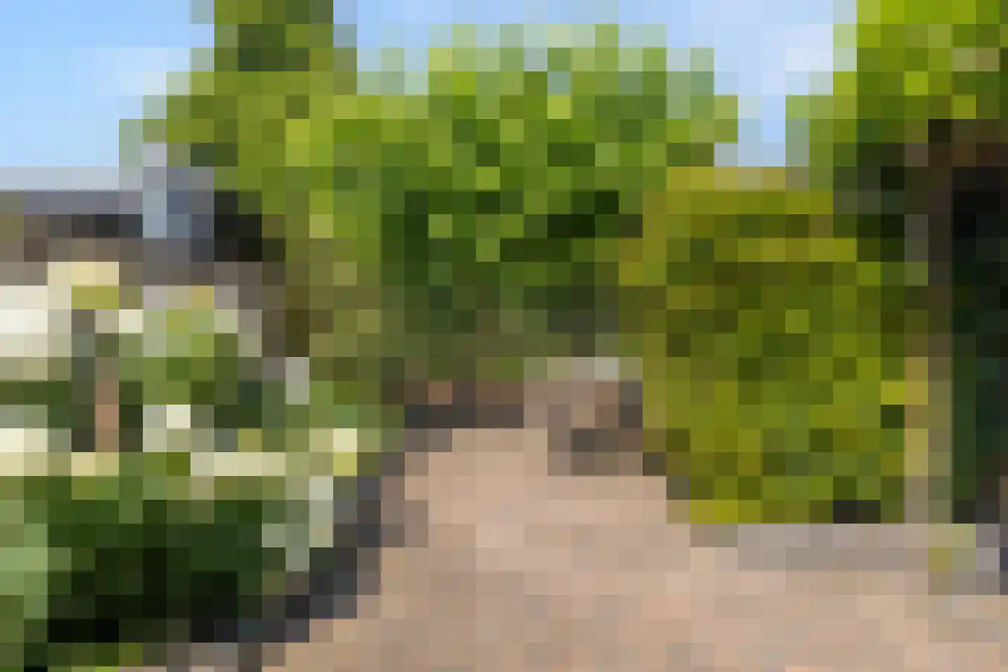 Kerkweg 147 Lekkerkerk thumbnail 35