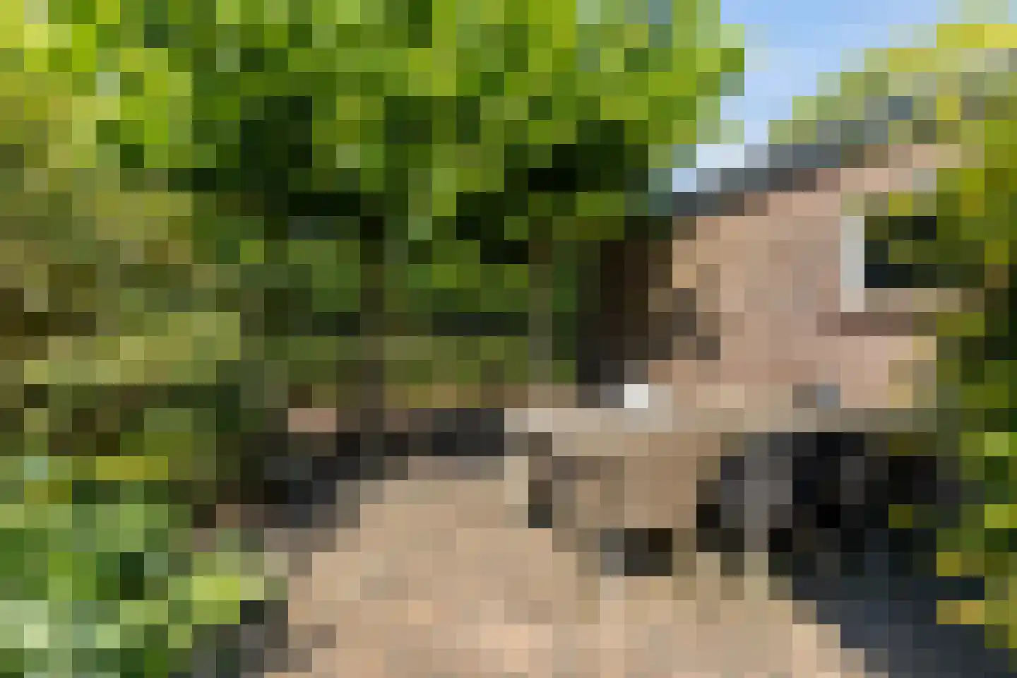 Kerkweg 147 Lekkerkerk thumbnail 36