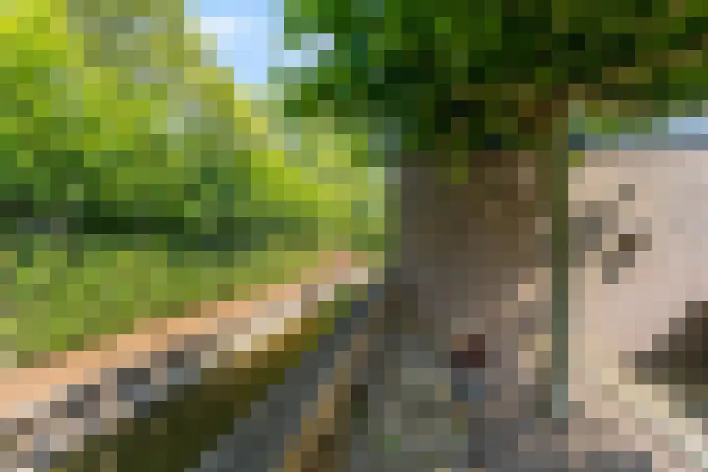 Kerkweg 147 Lekkerkerk thumbnail 39