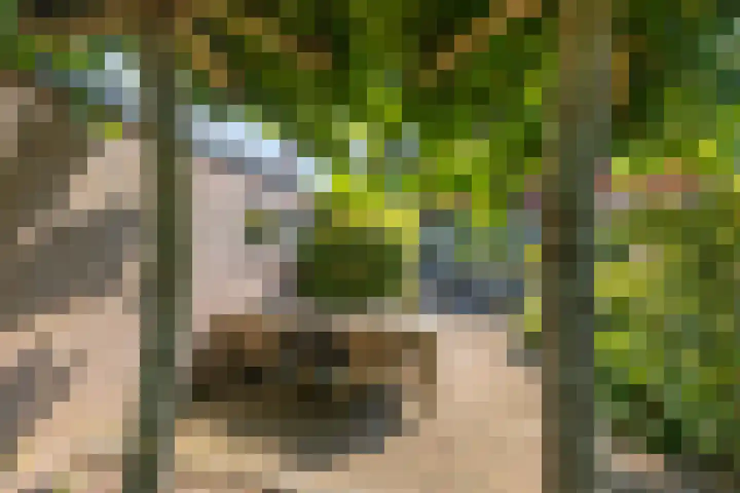 Kerkweg 147 Lekkerkerk thumbnail 40