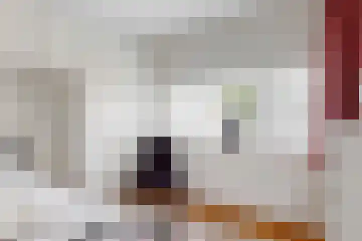 Kerkweg 15 Limmen thumbnail 25