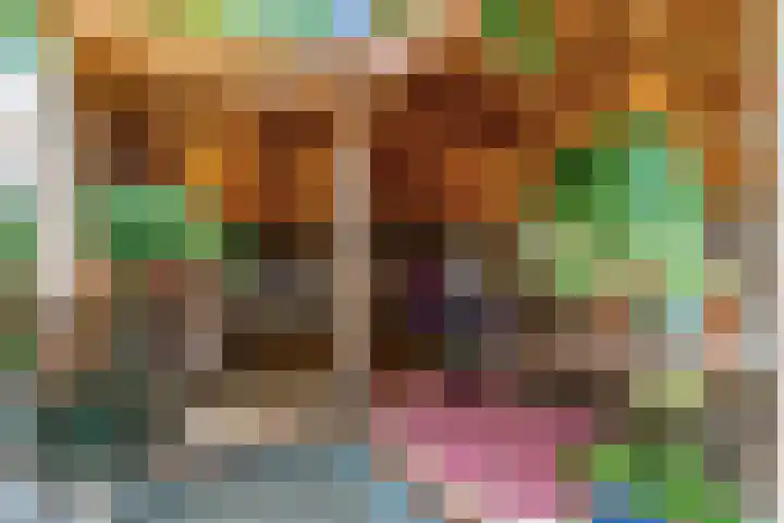 Kerkweg 15 Limmen thumbnail 38