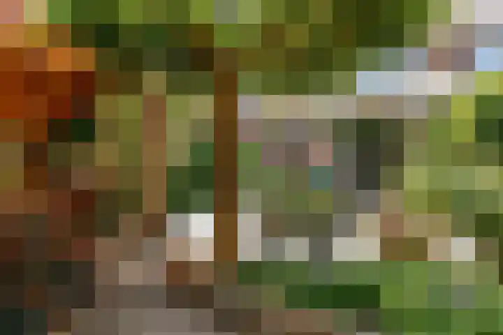 Kerkweg 15 Limmen thumbnail 42
