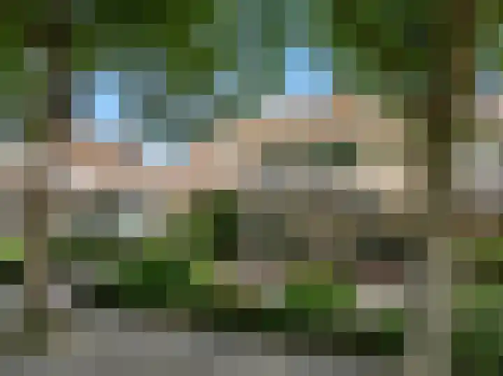 Kerkweg 15 Limmen thumbnail 43