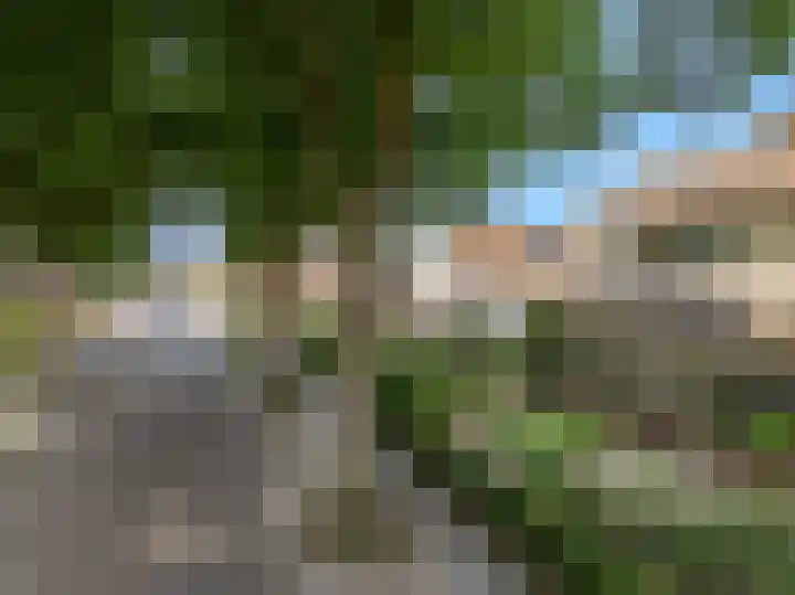 Kerkweg 15 Limmen thumbnail 46