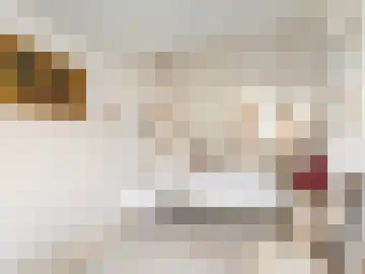 Kerkweg 15 Maarssen thumbnail 20