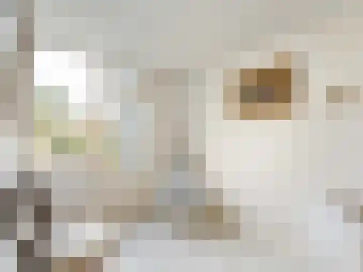 Kerkweg 15 Maarssen thumbnail 21