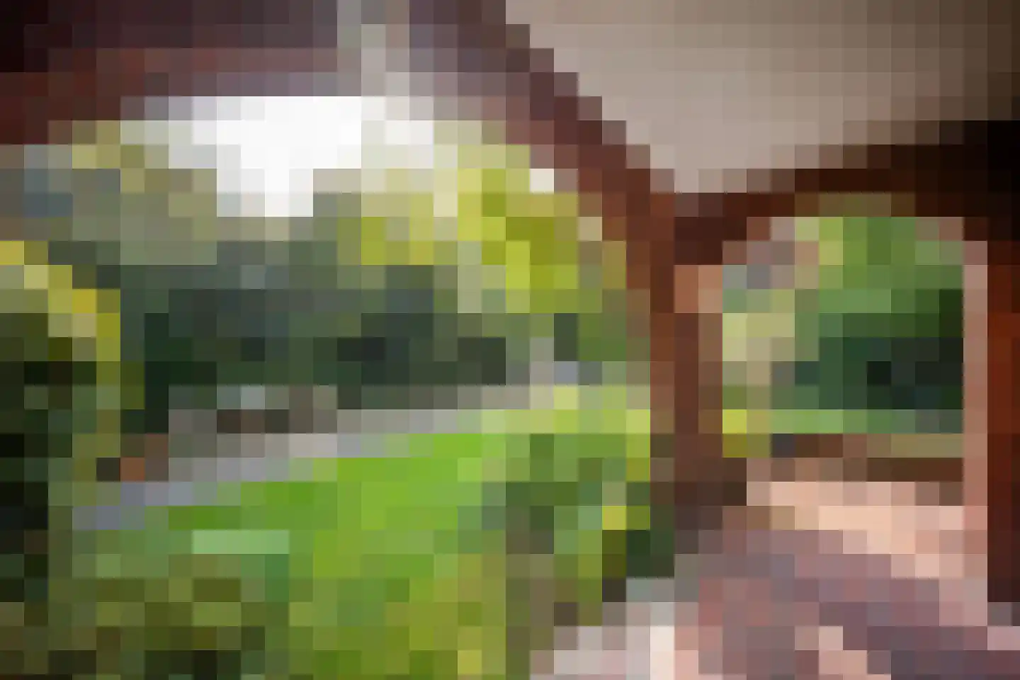 Kerkweg 15 Nootdorp thumbnail 21