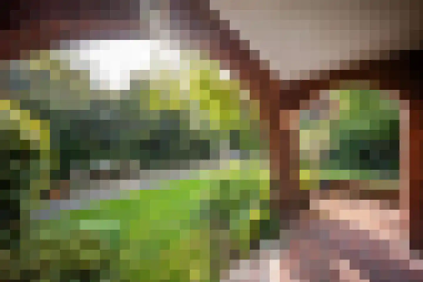 Kerkweg 15 Nootdorp thumbnail 22