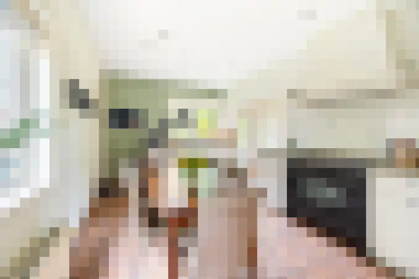 Kerkweg 15 Nootdorp thumbnail 24