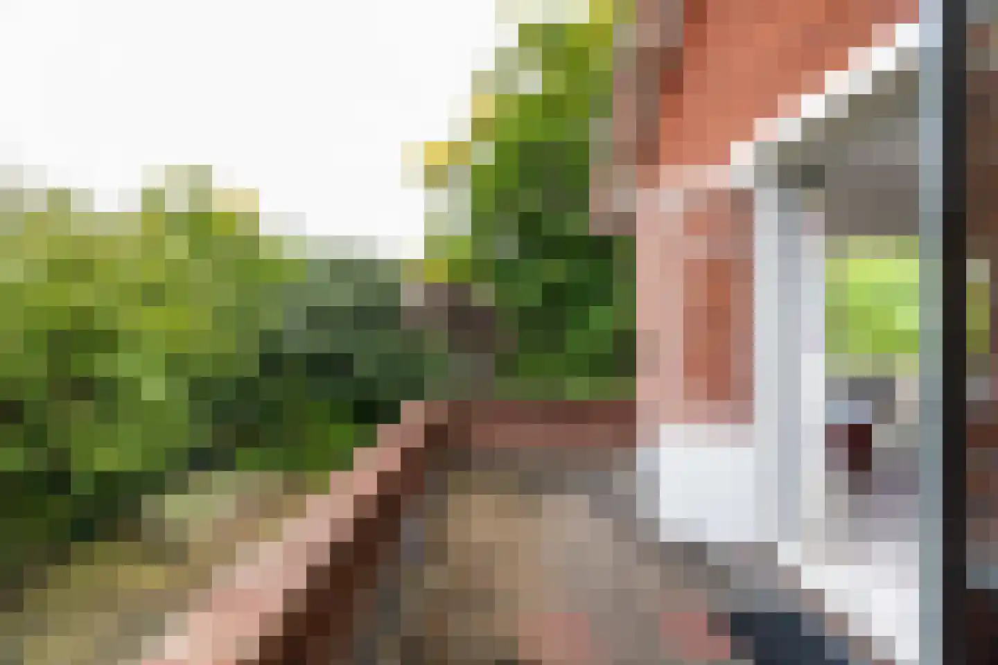 Kerkweg 15 Nootdorp thumbnail 36