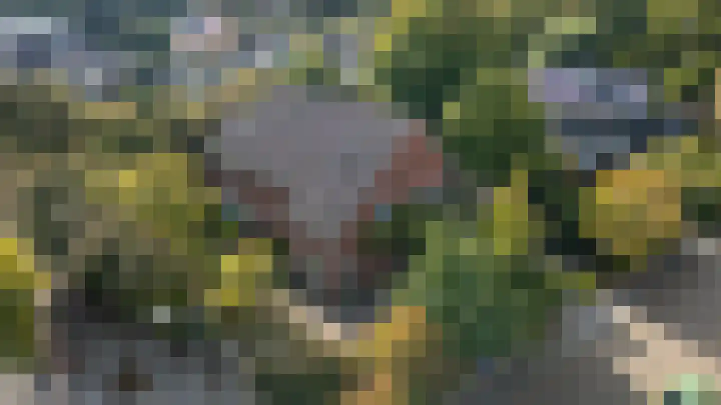 Kerkweg 15 Nootdorp thumbnail 48