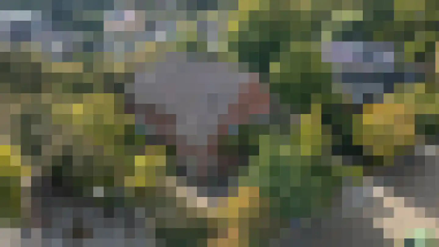 Kerkweg 15 Nootdorp thumbnail 48