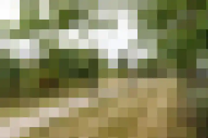 Kerkweg 15 Utrecht thumbnail 22