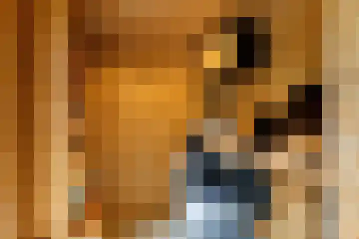 Kerkweg 15 Utrecht thumbnail 9