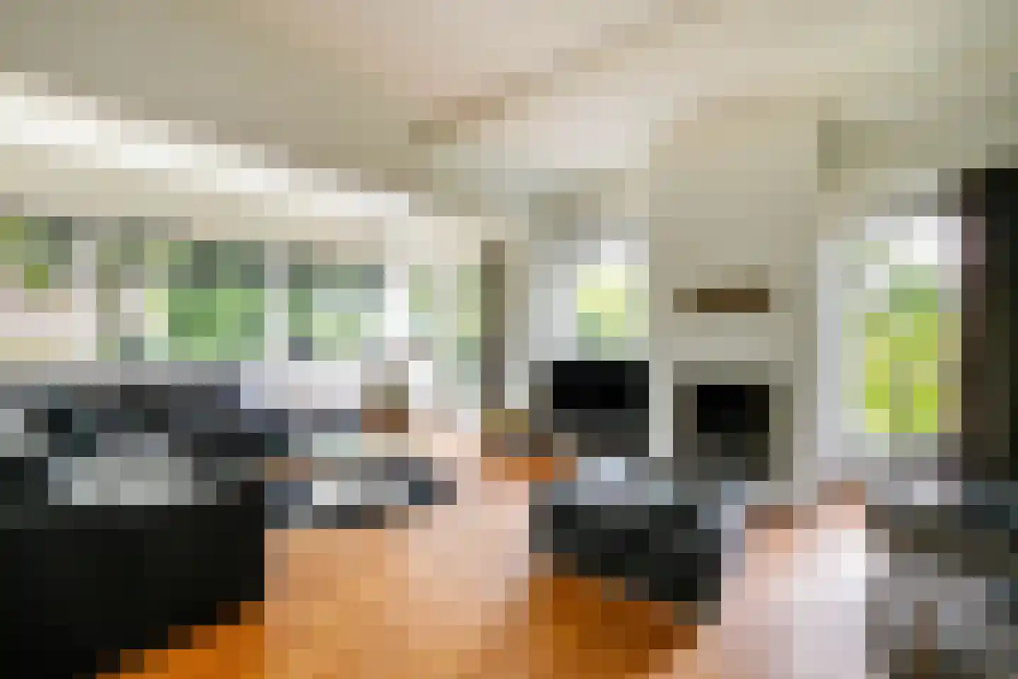 Kerkweg 157 Lekkerkerk thumbnail 11