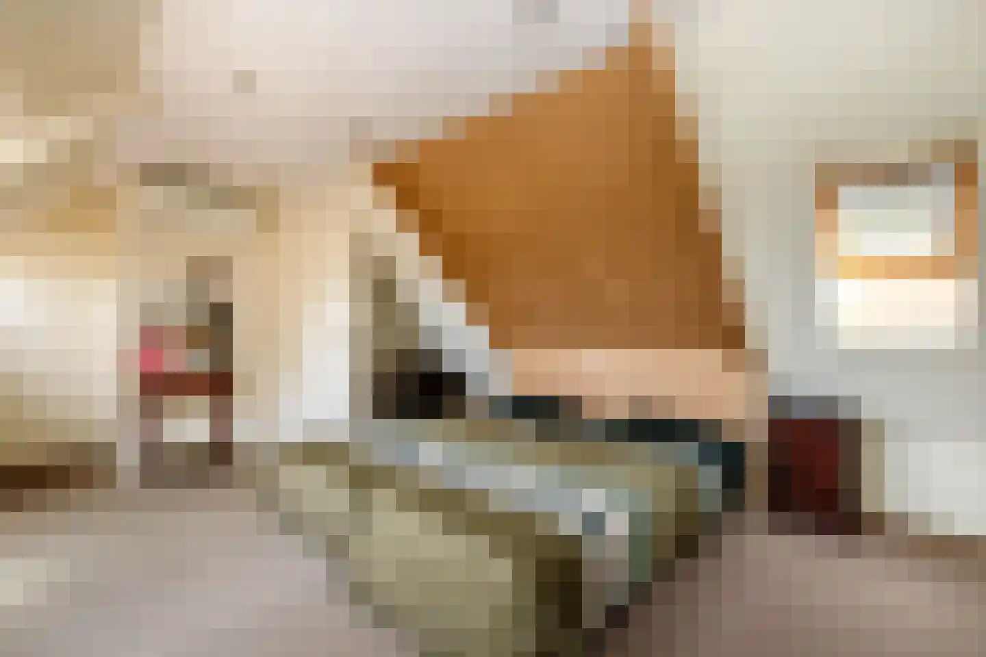 Kerkweg 157 Lekkerkerk thumbnail 42