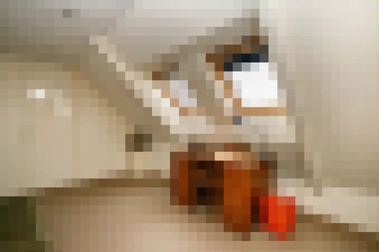 Kerkweg 157 Lekkerkerk thumbnail 43