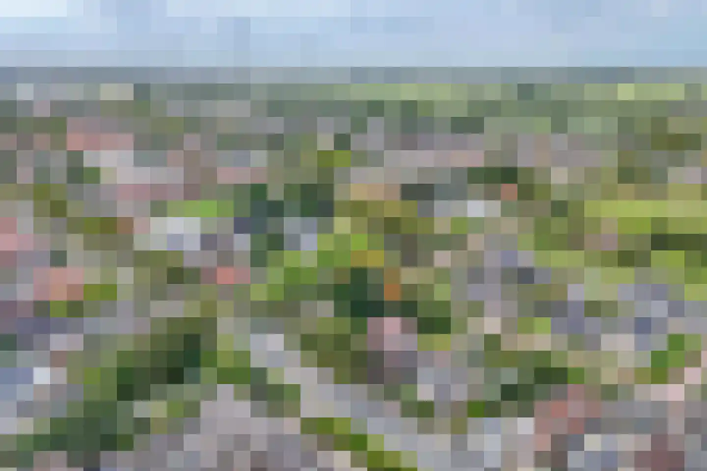 Kerkweg 157 Lekkerkerk thumbnail 44