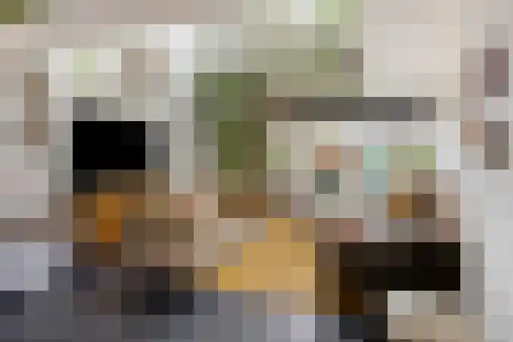 Kerkweg 159 Puth thumbnail 11