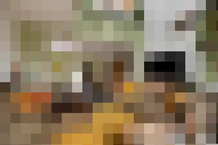 Kerkweg 159 Puth thumbnail 12