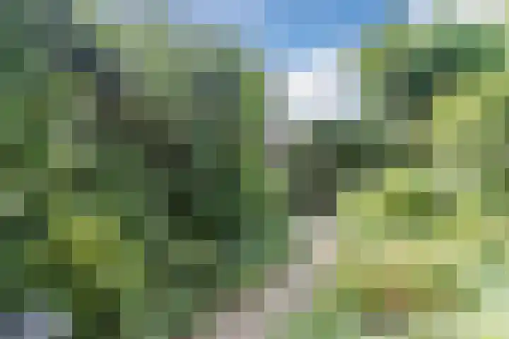 Kerkweg 159 Puth thumbnail 15