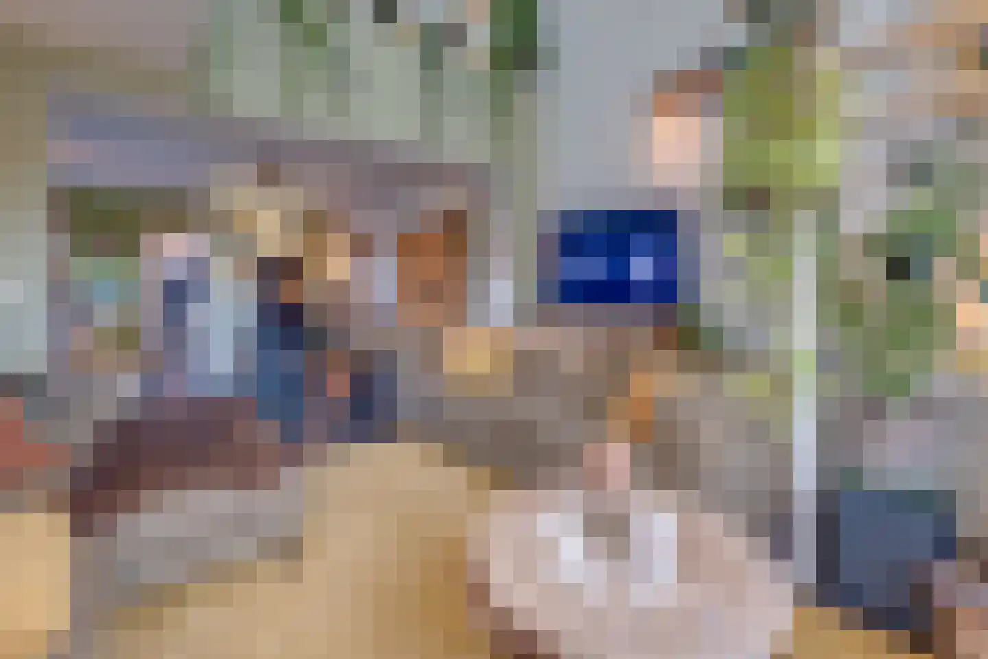 Kerkweg 159 Puth thumbnail 20
