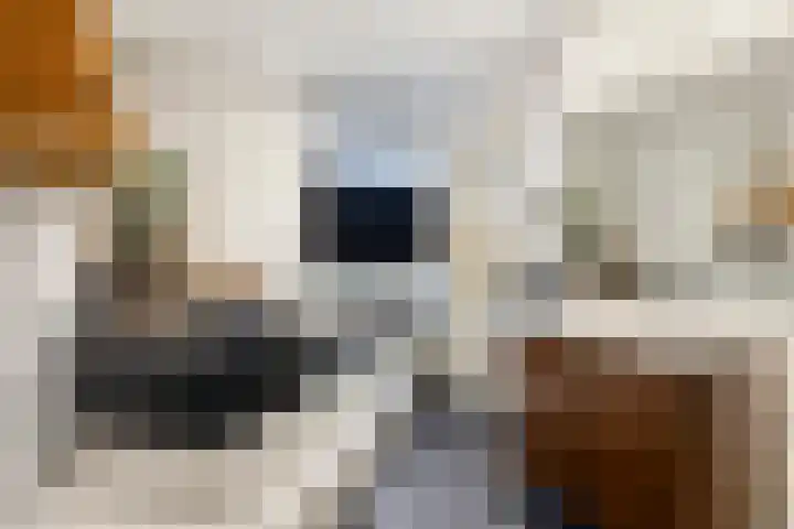 Kerkweg 159 Puth thumbnail 21