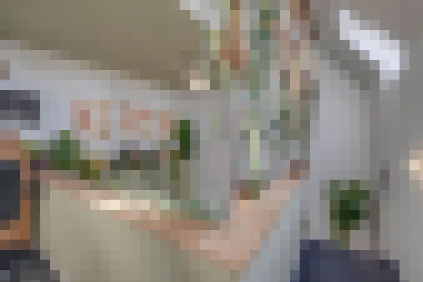 Kerkweg 159 Puth thumbnail 22