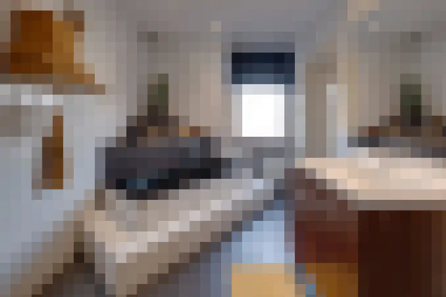 Kerkweg 159 Puth thumbnail 27