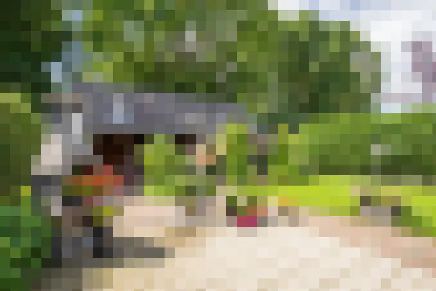 Kerkweg 16 Maria Hoop thumbnail 28