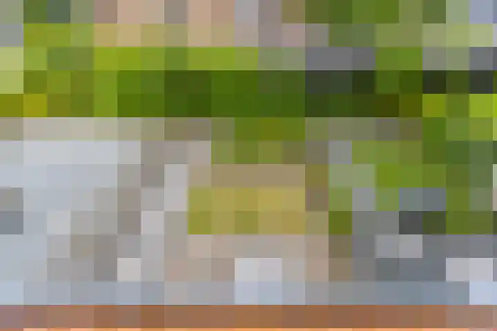Kerkweg 165 Lekkerkerk thumbnail 25