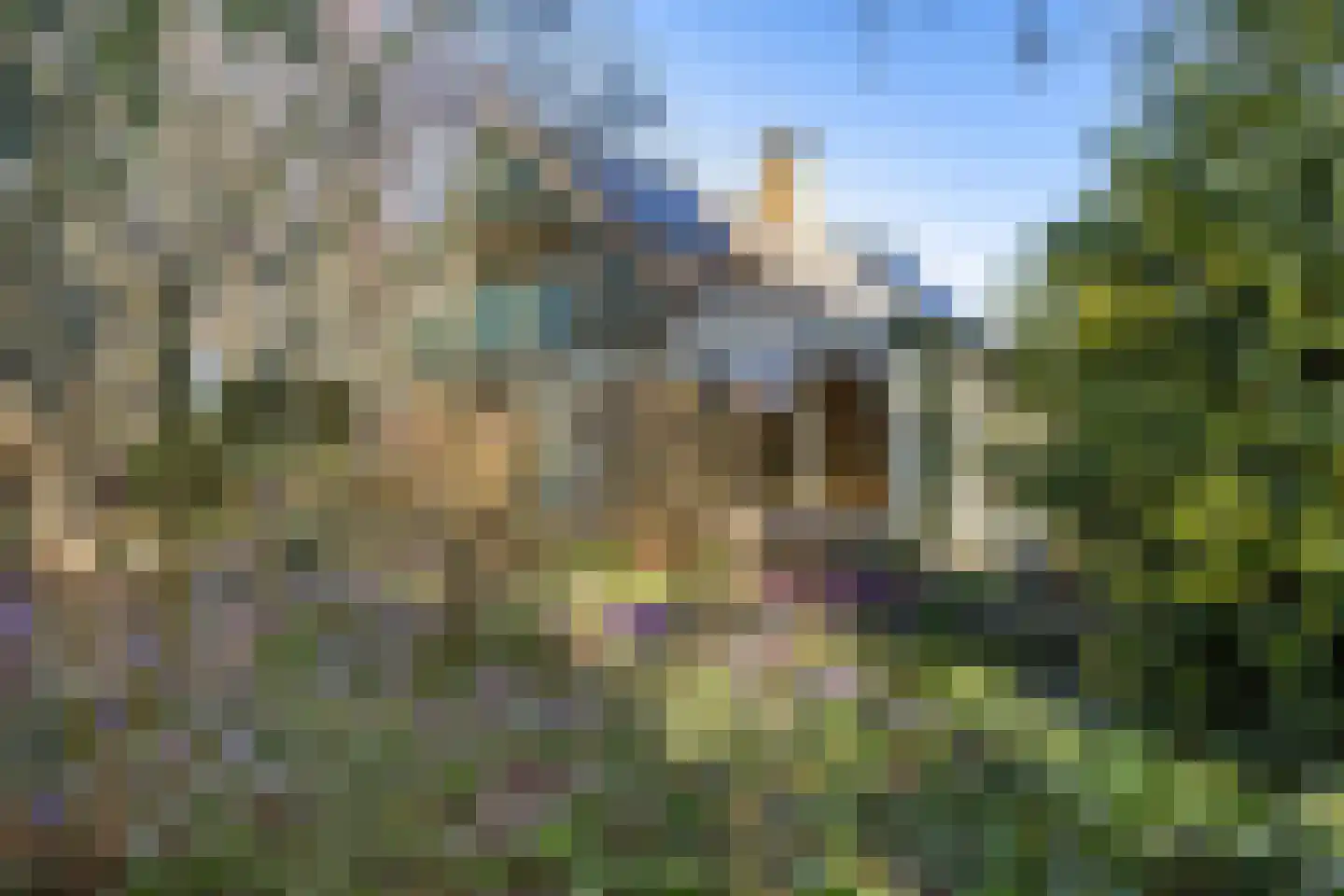 Kerkweg 167 Erica thumbnail 38