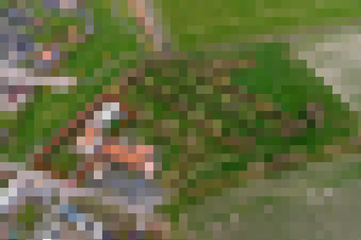 Kerkweg 18 Kerkwerve thumbnail 13