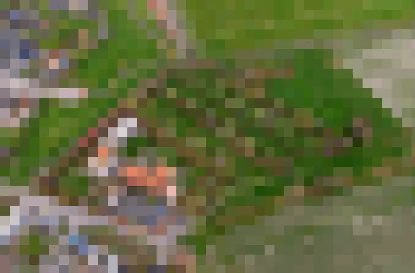Kerkweg 18 Kerkwerve thumbnail 16