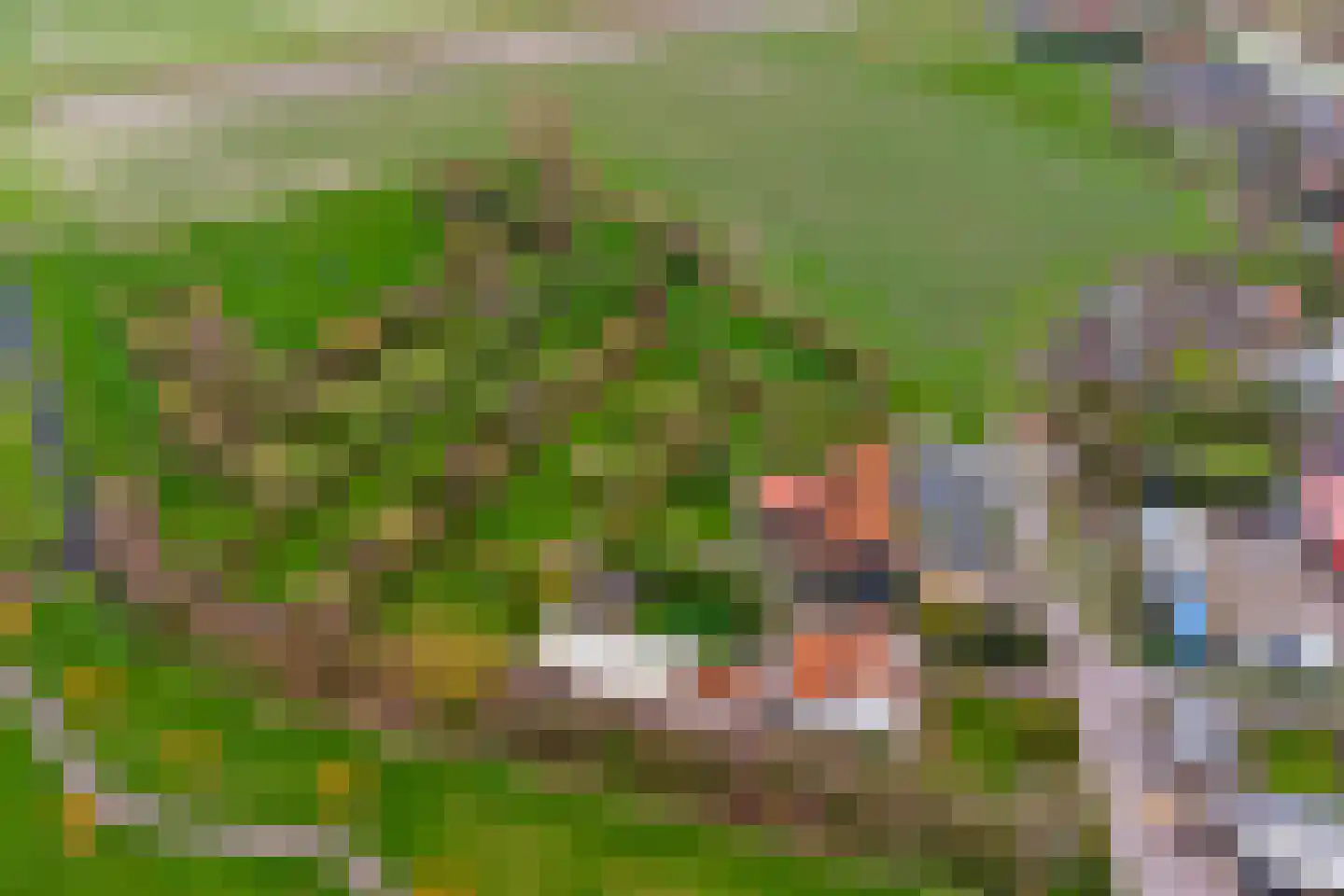 Kerkweg 18 Kerkwerve thumbnail 24