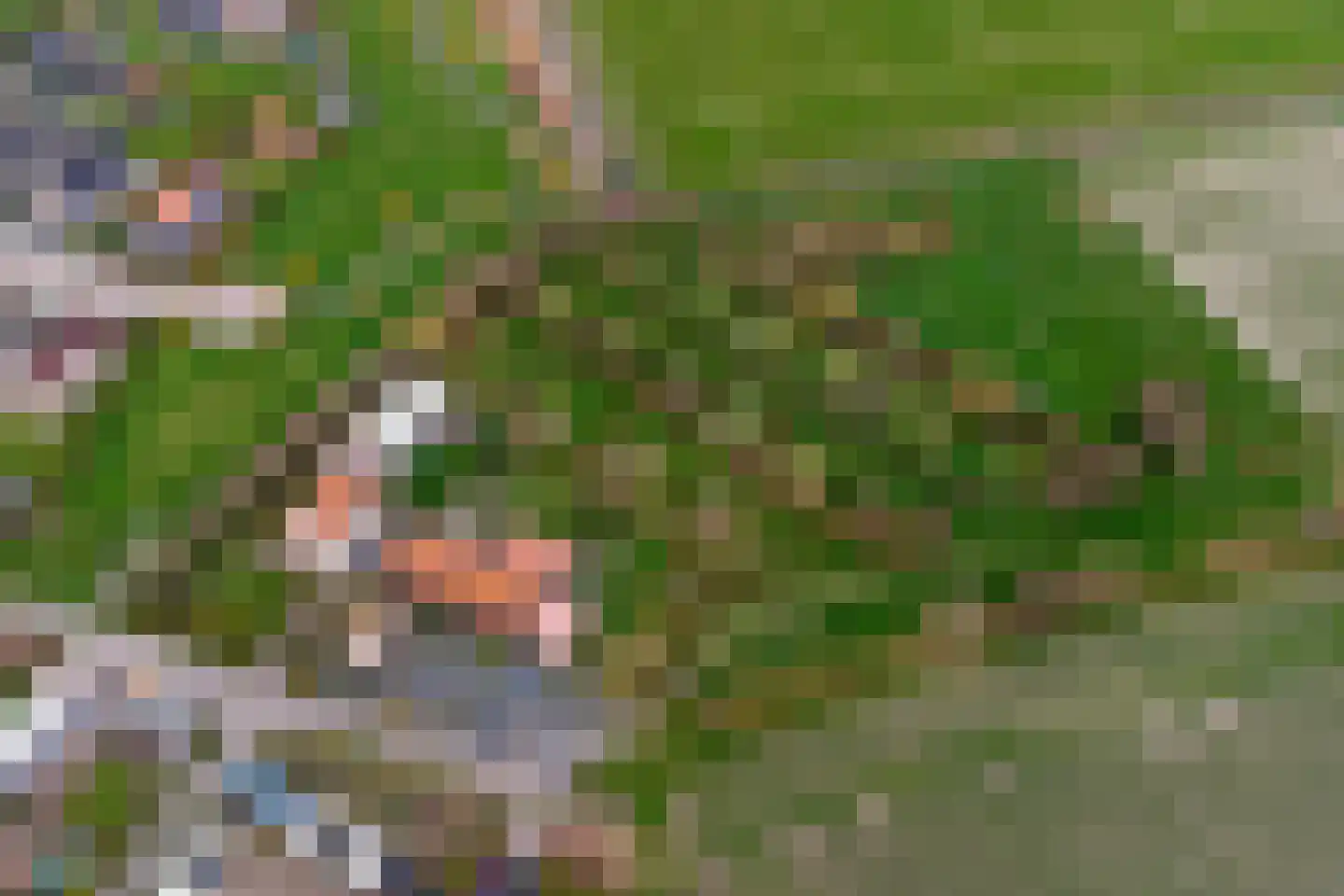 Kerkweg 18 Kerkwerve thumbnail 27