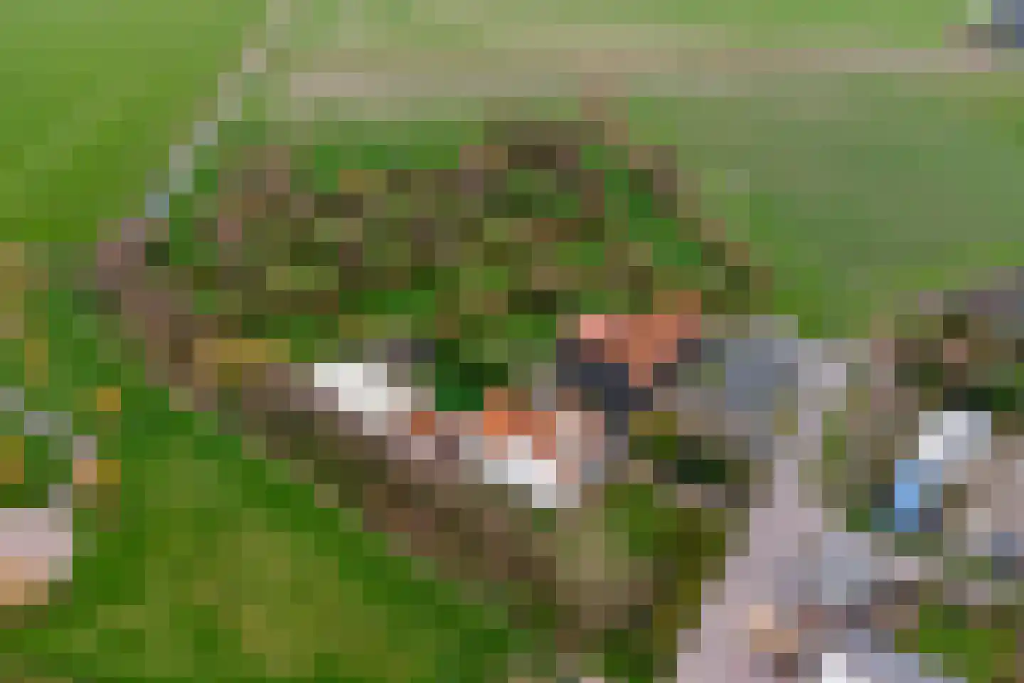 Kerkweg 18 Kerkwerve thumbnail 28