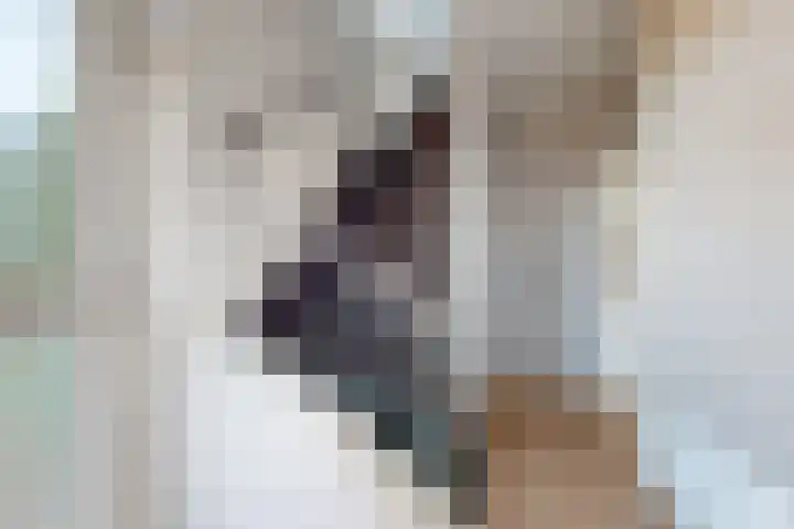 Kerkweg 18 Klundert thumbnail 8