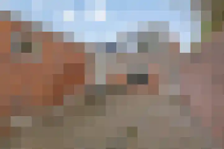 Kerkweg 18 Leek thumbnail 17