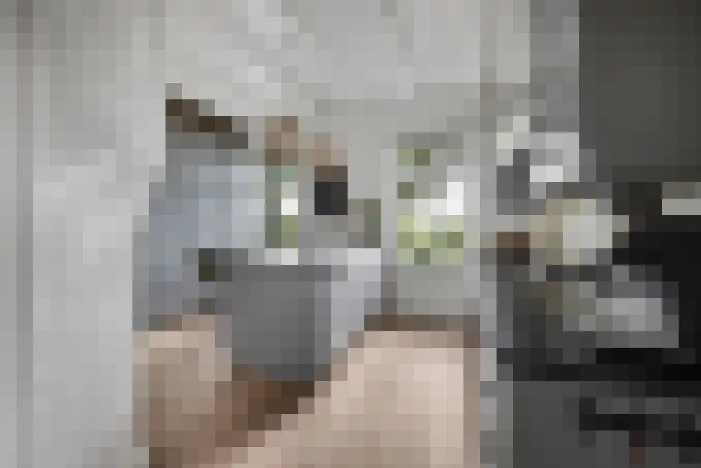 Kerkweg 18 Vorchten thumbnail 13
