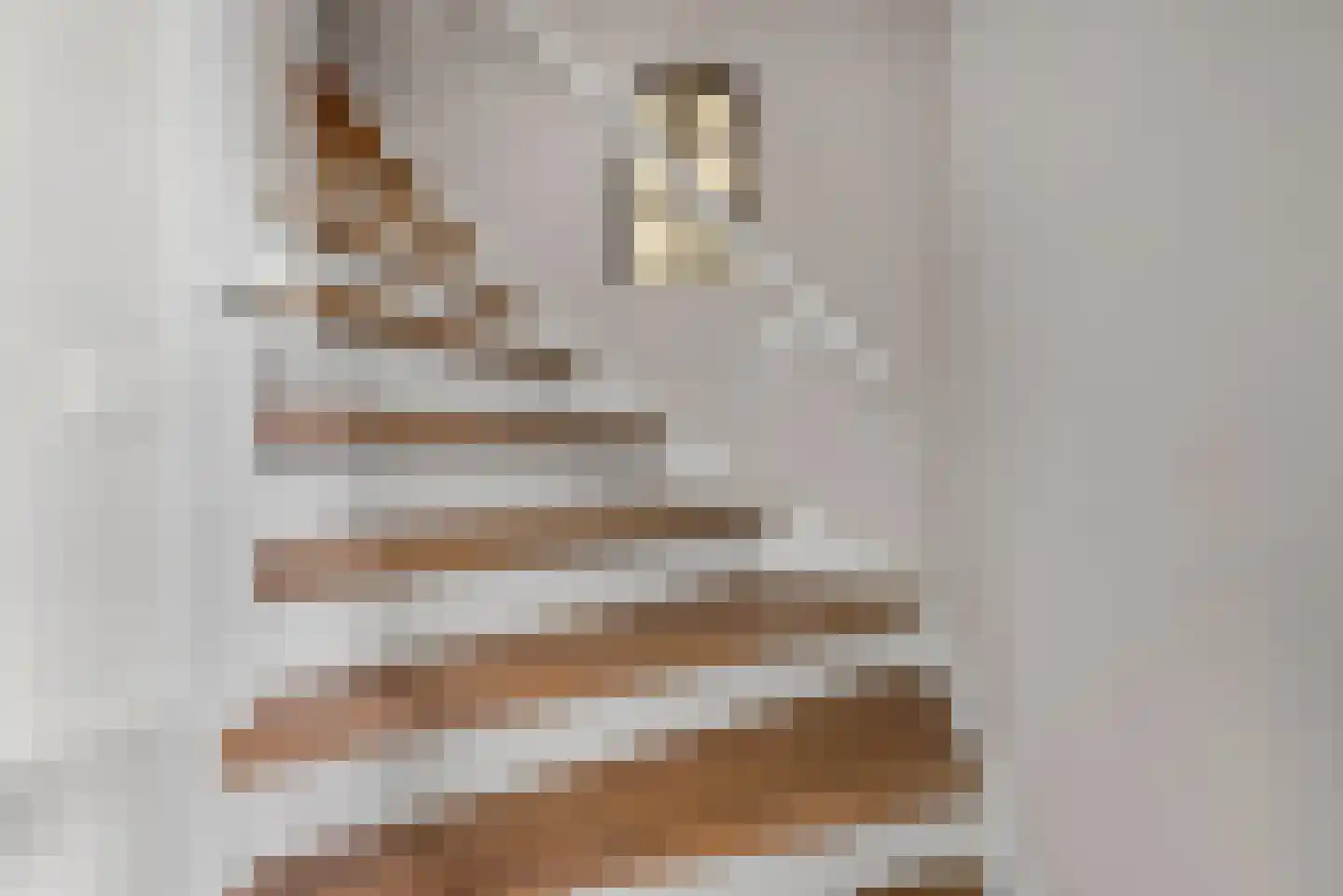 Kerkweg 18 Vorchten thumbnail 27