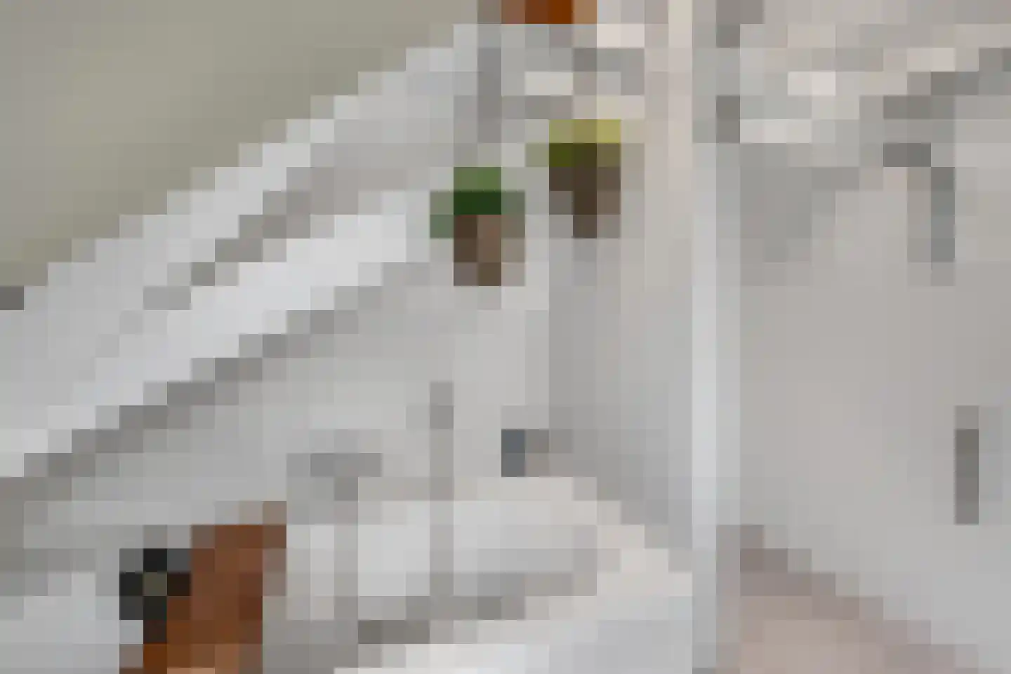 Kerkweg 18 Vorchten thumbnail 39
