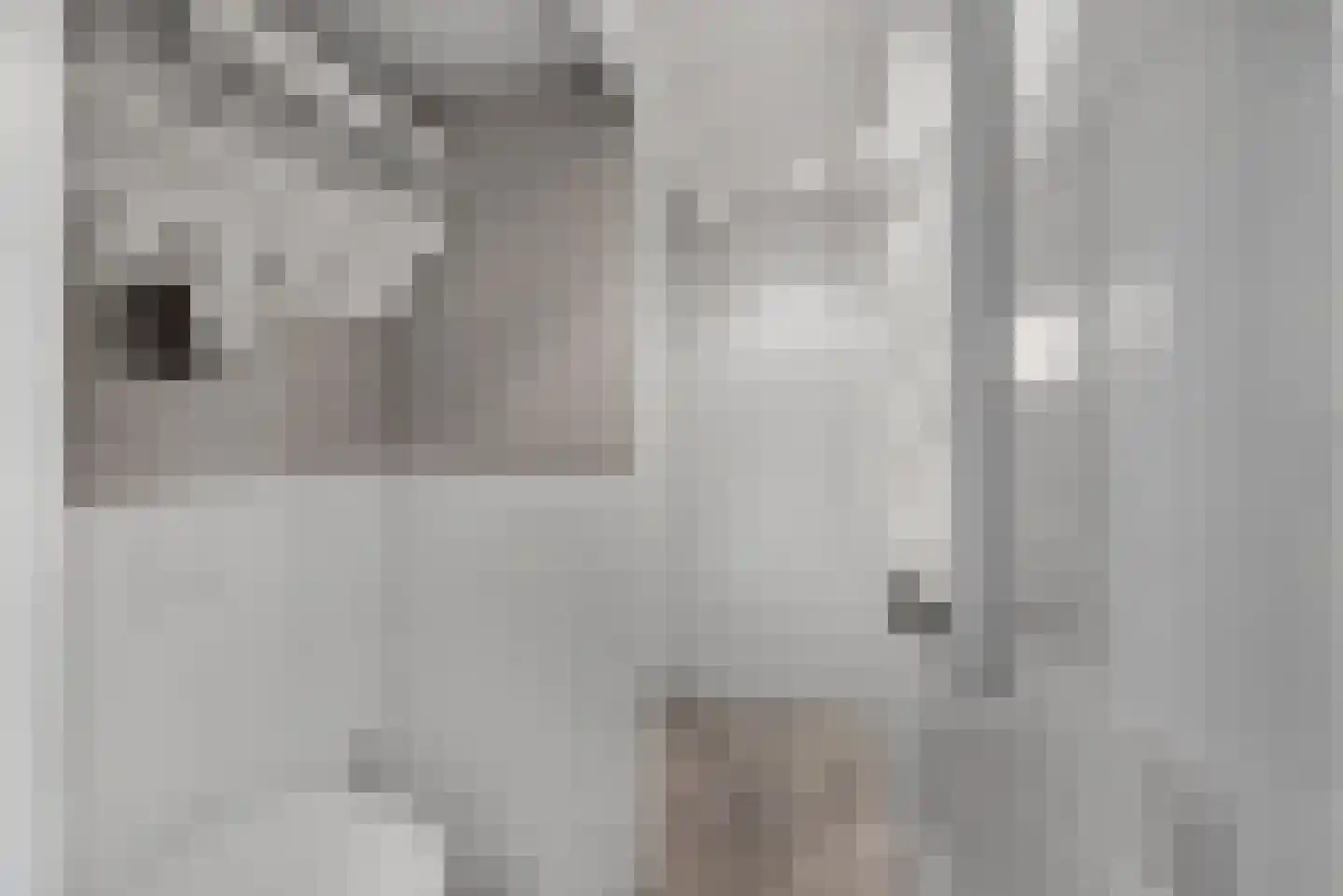 Kerkweg 18 Vorchten thumbnail 47