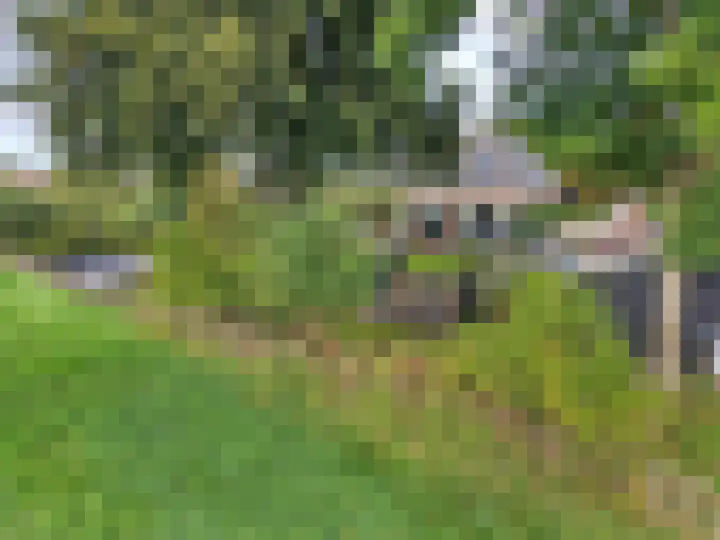 Kerkweg 18 Vorchten thumbnail 58