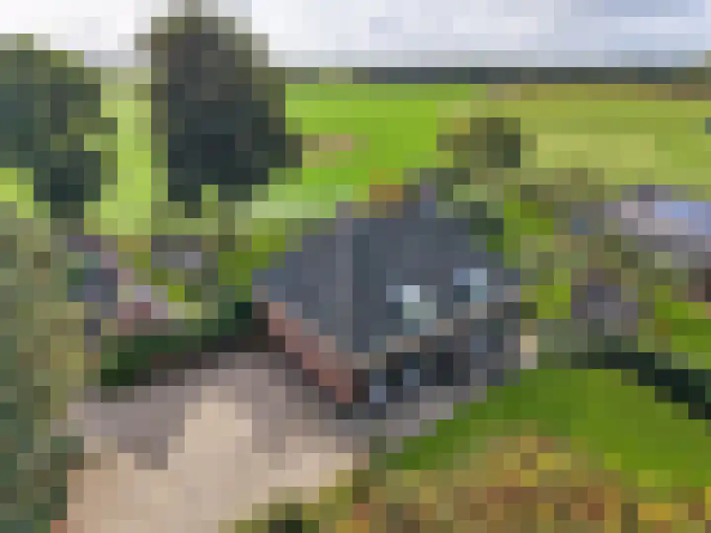 Kerkweg 18 Vorchten thumbnail 60